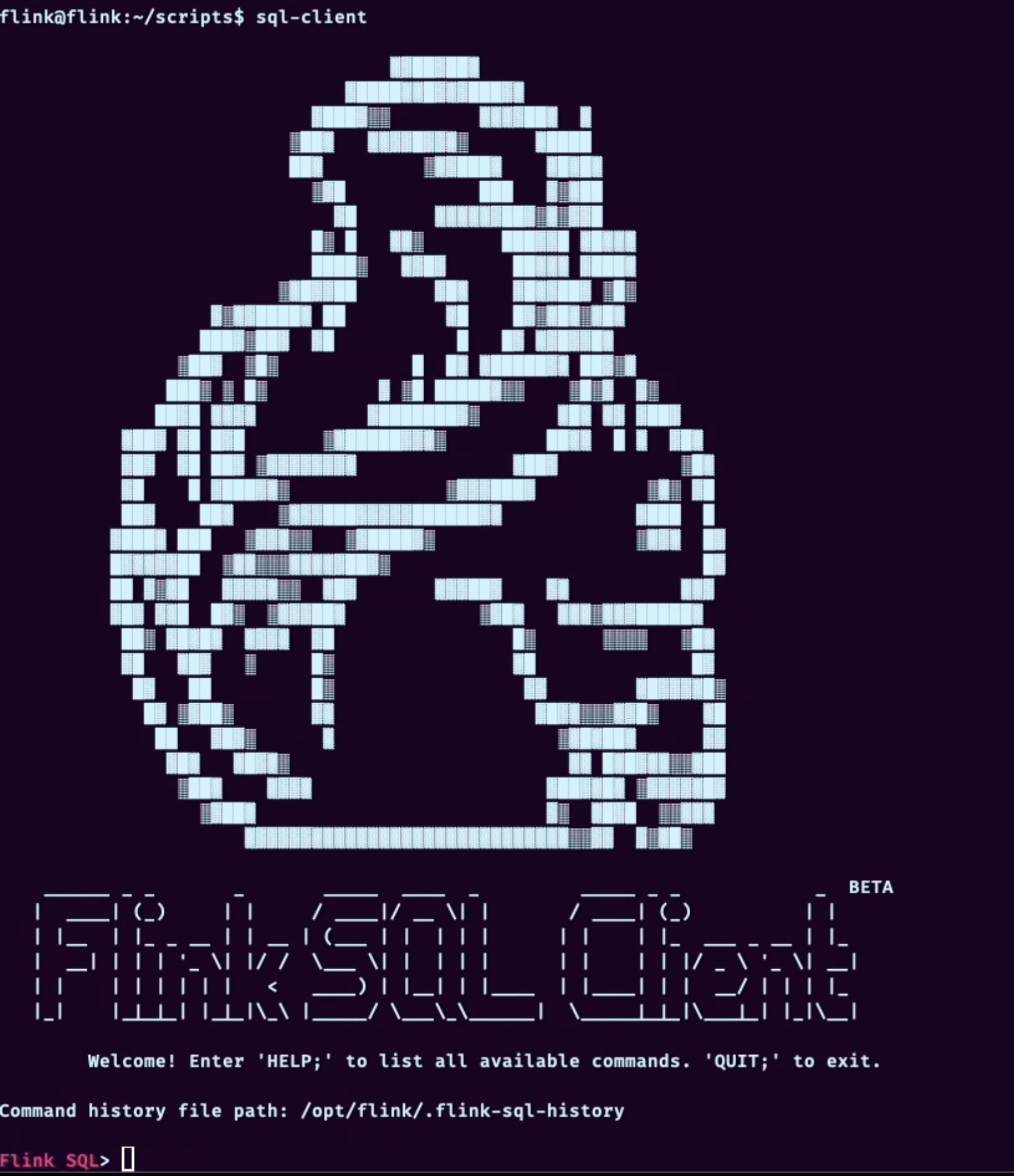 Flink SQL client interface